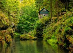 Roślinność, Drzewa, Skała, Dom, Rzeka Kamienica, Park Narodowy Czeska Szwajcaria, Czechy