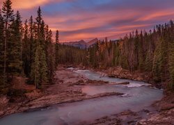 Wschód słońca, Rzeka Kicking Horse, Park Narodowy Yoho, Las, Drzewa, Góry, Prowincja Kolumbia Brytyjska, Kanada