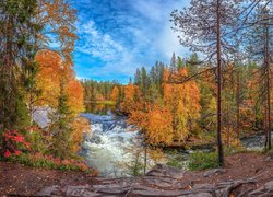 Rzeka Kitkajoki w Finlandii jesienią