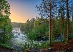 Rzeka Kitkajoki w Parku Narodowym Oulanka