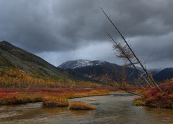Rzeka Kołyma jesienią