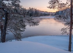 Zima, Rzeka Kymijoki, Las, Drzewa, Finlandia