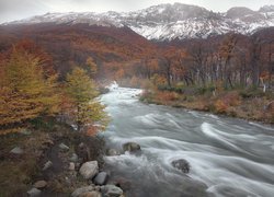 Rzeka Las Vueltas w Parku Narodowym Los Glaciares