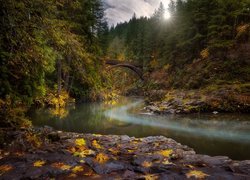 Rzeka Lewis River w Stanie Waszyngton