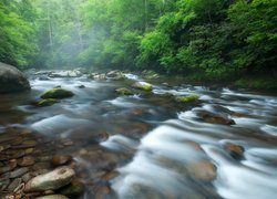 Rzeka Little River w stanie Tennessee