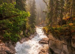 Skały, Rzeka, Maligne River, Drzewa, Maligne Canyon, Park Narodowy Jasper, Kanada