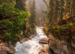 Rzeka Maligne River w Parku Narodowym Jasper