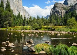 Góry, Sierra Nevada, Rzeka, Merced River, Drzewa, Kamienie, Trawa, Park Narodowy Yosemite, Stan Kalifornia, Stany Zjednoczone