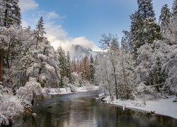 Rzeka Merced River w zimowej szacie