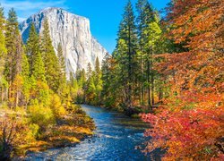 Stany Zjednoczone, Kalifornia, Park Narodowy Yosemite, Jesień, Rzeka Merced, Drzewa, Góry