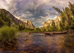 Stany Zjednoczone, Kalifornia, Park Narodowy Yosemite, Góry, Rzeka Merced, Kamienie, Rośliny, Drzewa, Suchy konar