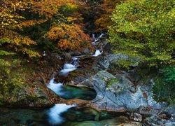 Francja, Pireneje, Las, Rzeka, Wąwóz, Skały, Jesień, Dolina, Valle de Ossau