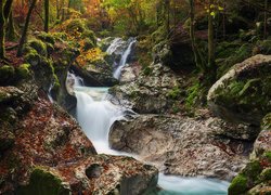 Las, Kamienie, Skały, Drzewa, Rzeka, Triglavski Park Narodowy, Słowenia