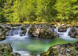 Rzeka na skałach w zielonym słonecznym lesie
