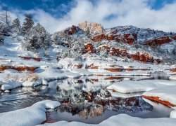 Stany Zjednoczone, Stan Arizona, Park Stanowy Slide Rock, Kanion, Wąwóz Oak Creek Canyon, Rzeka Oak Creek, Zima, Skały