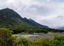 Rzeka obok zalesionej góry