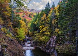 Rzeka, Pemigewasset River, Skały, Las, Drzewa, Jesień, Stan New Hampshire, Stany Zjednoczone