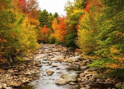 Rzeka Pemigewasset River w stanie New Hampshire