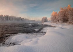 Zima, Drzewa, Mgła, Rzeka Pirenga, Półwysep Kolski, Obwód murmański, Rosja