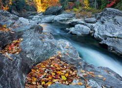 Rzeka płynąca między skałami w lesie
