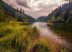 Rzeka płynąca pomiędzy zalesionymi wzgórzami