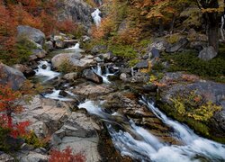 Rzeka pomiędzy jesiennymi drzewami i skałami w Parku Narodowym Los Glaciares