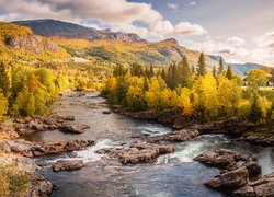 Jesień, Góry, Drzewa, Las, Rzeka, Gmina Hemsedal, Region Buskerud, Norwegia