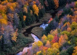 Jesień, Las, Rzeka, Kolorowe, Drzewa