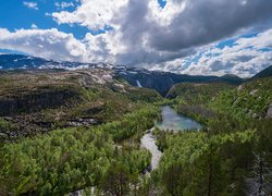 Rzeka pośród lasów w norweskim Parku Narodowym Rago
