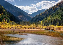 Rzeka pośród lasów w Parku Narodowym Jiuzhaigou