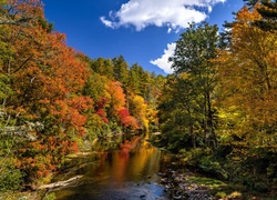 Rzeka przepływająca przez jesienny las
