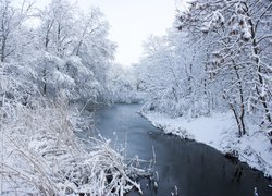 Rzeka przepływająca przez zaśnieżony las