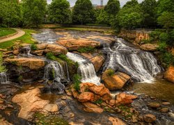 Rzeka Reedy, Skały, Kamienie, Drzewa, Roślinność, Greenville, Karolina Południowa, Stany Zjednoczone