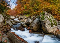 Hiszpania, Aragonia, Rezerwat przyrody, Posets Maladeta, Drzewa, Rzeka, Rio Ara, Kamienie, Skały, Jesień