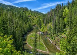 Góry, Drzewa, Zielony, Las, Rzeka, Saint Joe River, Idaho, Stany Zjednoczone