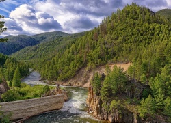 Stany Zjednoczone, Stan Idaho, Góry, Rzeka Salmon, Lasy, Skały