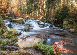 Niemcy, Saksonia-Anhalt, Góry Harz, Rzeka Selke, Wodospad Selkefall, Las, Kamienie, Jesień