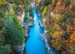 Nowa Zelandia, Queenstown, Rzeka, Shotover River, Skały, Wąwóz, Jesień, Drzewa