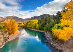 Nowa Zelandia, Queenstown, Rzeka Shotover, Góry, Jesień, Drzewa