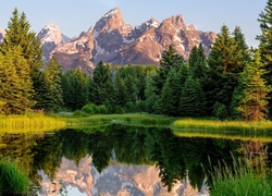 Stany Zjednoczone, Stan Wyoming, Park Narodowy Grand Teton, Rzeka Snake River, Las, Góry, Odbicie