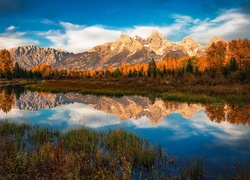 Stany Zjednoczone, Stan Wyoming, Park Narodowy Grand Teton, Góry, Rzeka Snake River, Drzewa, Roślinność