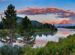 Stany Zjednoczone, Stan Wyoming, Park Narodowy Grand Teton, Rzeka Snake River, Góry Skaliste, Las, Drzewa