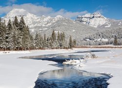 Rzeka Soda Butte Creek w stanie Wyoming