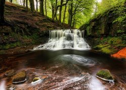 Las, Drzewa, Rzeka, Omszone, Skały, Kamienie, Wodospad, Roddlesworth Waterfall, Darwen, Anglia