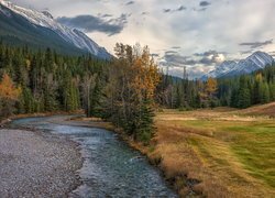 Rzeka, Spray River, Drzewa, Las, Łąka, Góry, Canadian Rockies, Park Narodowy Banff, Alberta, Kanada