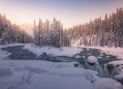 Wodospad Sunwapta Falls, Rzeka Sunwapta, Park Narodowy Jasper, Zima, Góry, Drzewa, Alberta, Kanada