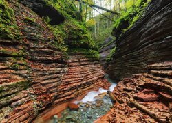 Skały, Wąwóz, Rzeka Taugl, Drzewa, Austria