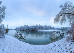 Rosja, Kraj Stawropolski, Rzeka Terek, Zima, Drzewa, Śnieg, Konary