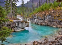 Park Narodowy Kootenay, Kolumbia Brytyjska, Kanada, Rzeka, Tokumm Creek, Park prowincjonalny Marble Canyon, Skały, Góry, Drzewa, Kamienie
