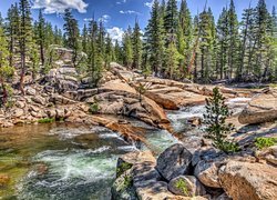 Park Narodowy Yosemite, Rzeka Tuolumne River, Stany Zjednoczone, Stan Kalifornia, Drzewa, Kamienie, Skały